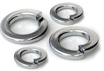 SS Spring Washers